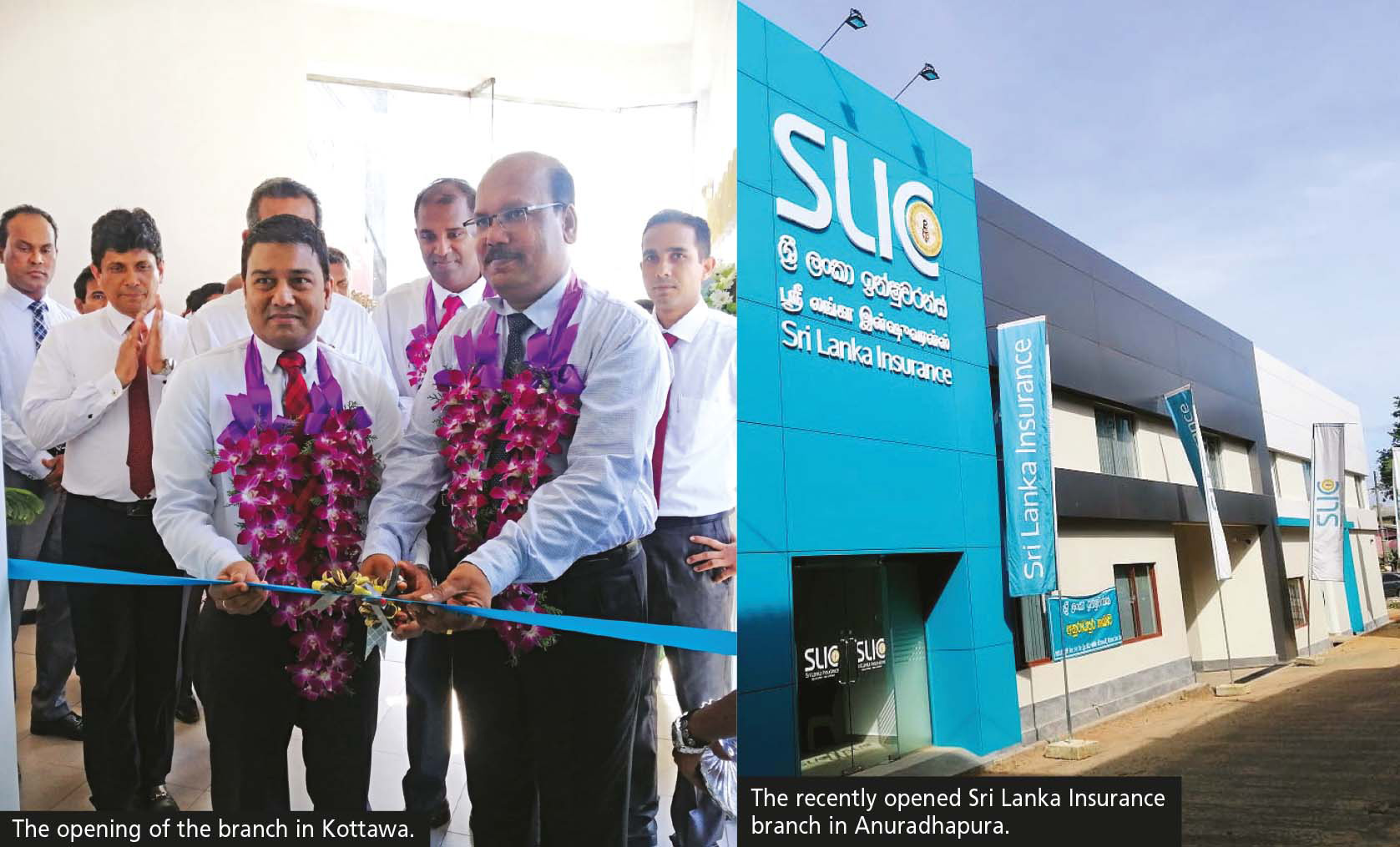 SRI LANKA INSURANCE | LMD