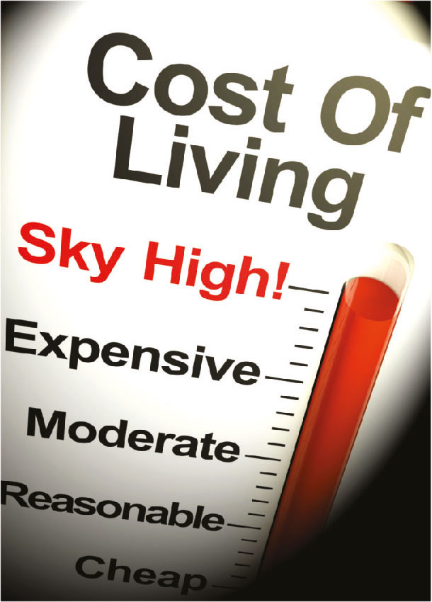 THE COST OF LIVING LMD