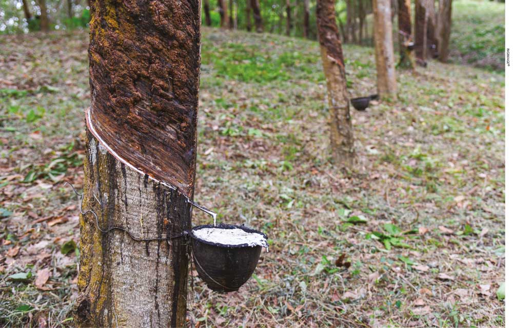 RUBBER INDUSTRY | LMD