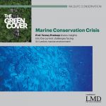 GREEN COVER
