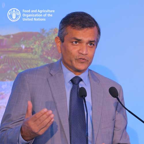 Vimlendra Sharan is the FAO Representative for Sri Lanka and the Maldives