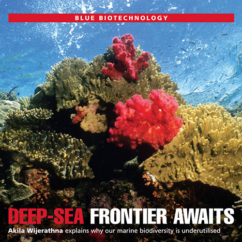 BLUE BIOTECHNOLOGY - LMD