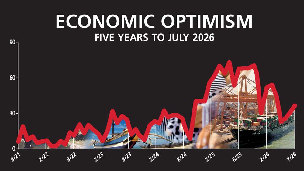 THE ECONOMY – LMD